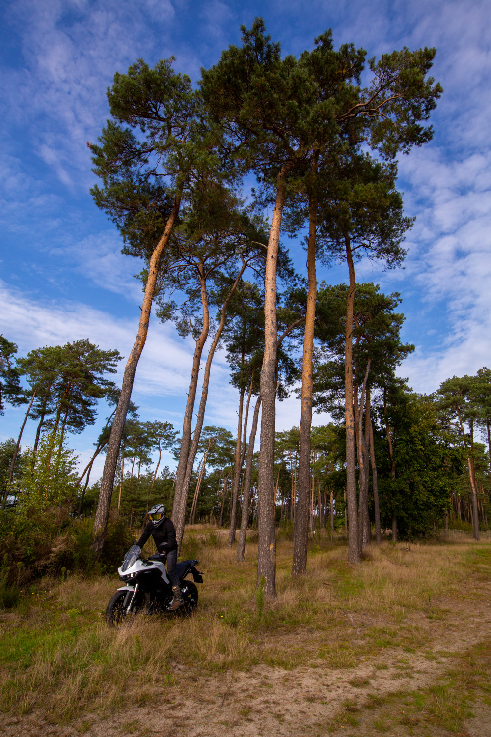 Offroad Kawasaki Experience - Incl. Motor - Afbeelding 2